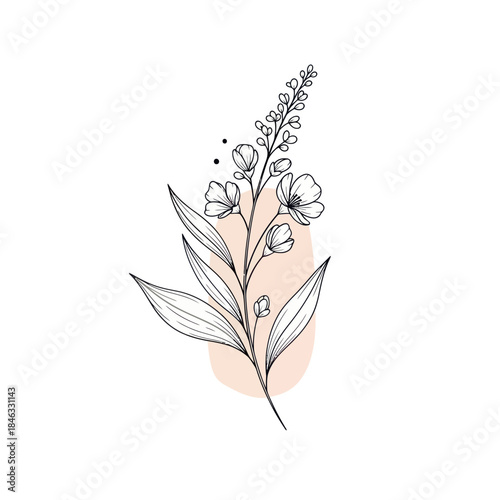 Elegant Botanical Illustration of a Flowering Plant with Delicate Details.
