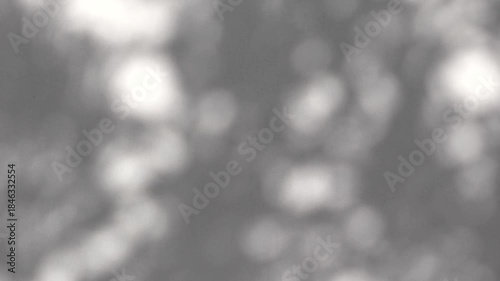 Abstract natural tree branch leaves shadow on white wall background