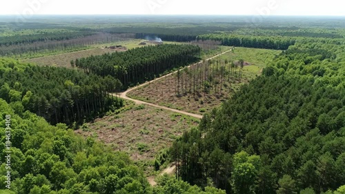 Aerial view of a vast forest with clearing and dirt road cutting through.