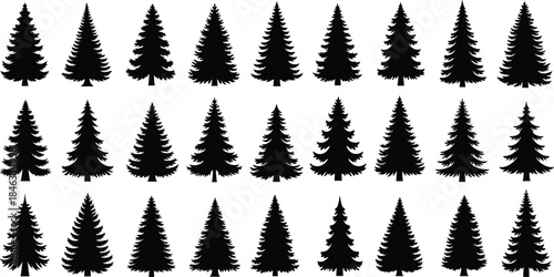 Set of pine tree silhouettes collection black forest evergreen conifer shapes vector illustration for winter nature design projects