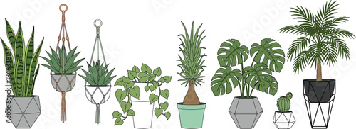 Collection of indoor houseplants in modern pots, botanical illustration set featuring tropical foliage, succulents, and hanging plants isolated
