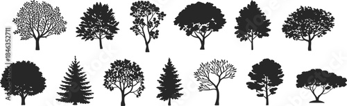 Tree silhouettes collection, diverse forest and garden tree shapes, nature plants icons, black detailed flat vector illustration set