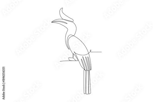 Hornbill. Dayak concept one-line drawing