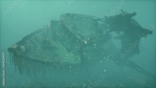 A submerged shipwreck rests on the ocean floor, surrounded by fish and marine life. Time has transformed the vessel into a haunting relic of history, cloaked in seaweed and mystery.