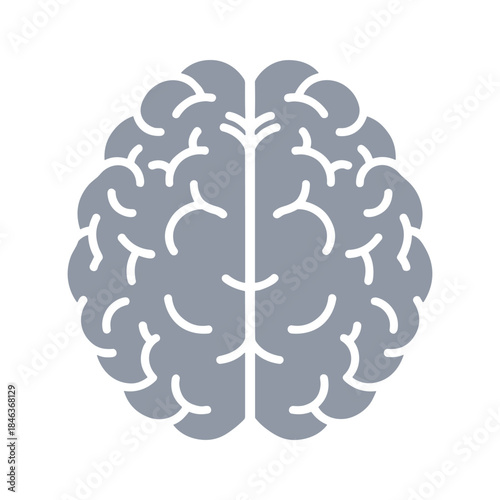 Brain icon in gray and white
