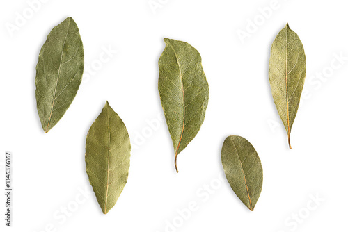 Top view of collection or set of five different green dried bay leaves isolated on white background for culinary use for aromatic herbal seasoning in soups, stews, meat, seafood, and vegetable dishes