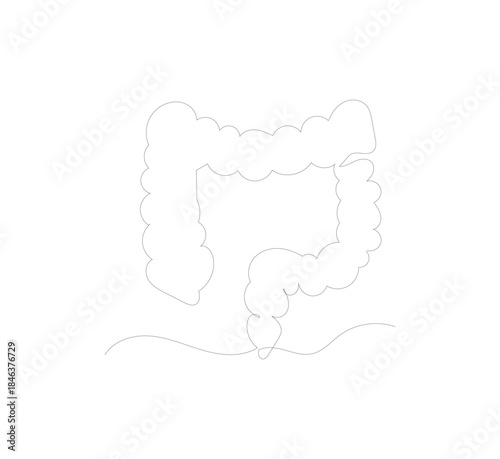 Single line drawing of human large intestine organ. Continuous line drawing of human internal organs, intestines, small intestine, large intestine, digestive tract.vector illustrator