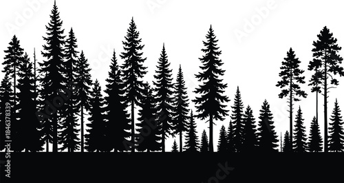 Pine forest silhouette landscape, tall evergreen trees, wilderness nature scenery, woodland horizon view, minimal outdoor design, black silhouettes