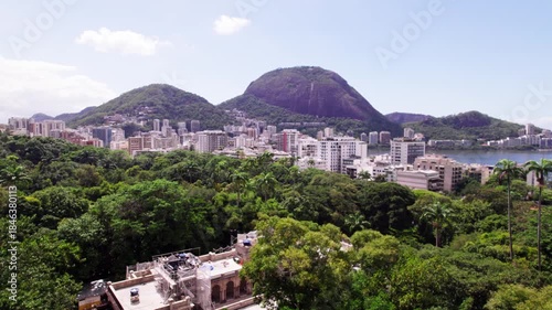Beautiful Rio de Janeiro jungles Brazil