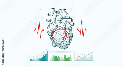 Anatomical Heart With EKG Line And Financial Charts Illustration