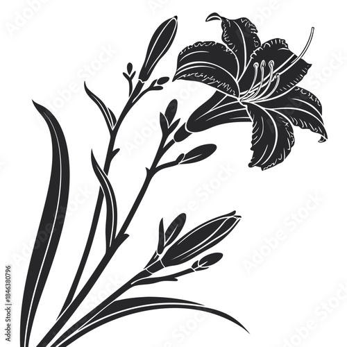 hemerocallis bonanza with leaves