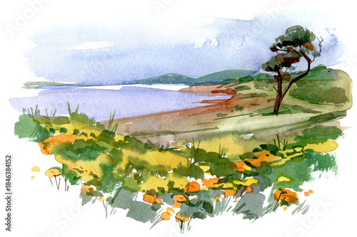 Watercolor landscape of a coastal scene with wildflowers, green hills, and a calm sea under a soft sky. Peaceful nature view in delicate tones