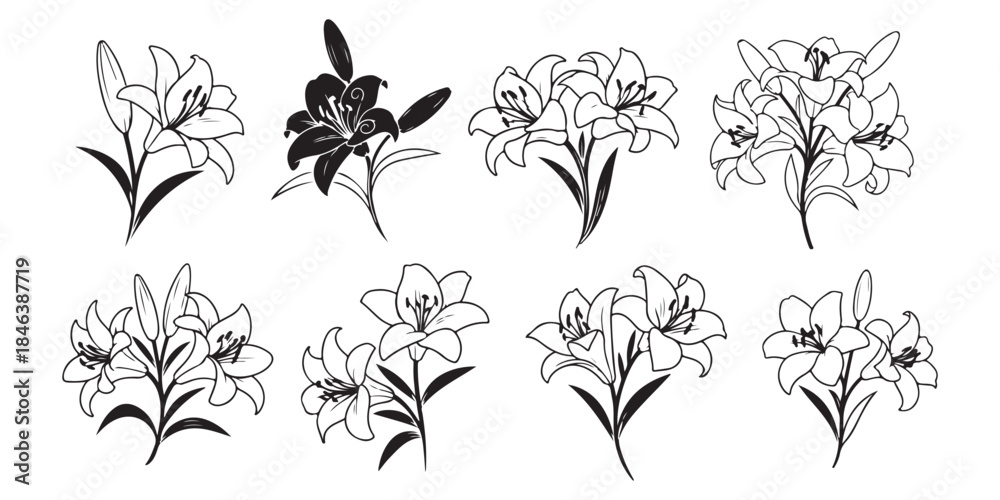 Fototapeta premium set of black and white flowers