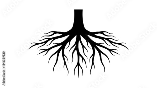 Tree Roots Silhouette – Nature Underground Root System Vector Illustration