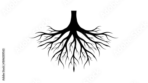 Tree Roots Silhouette – Nature Underground Root System Vector Illustration