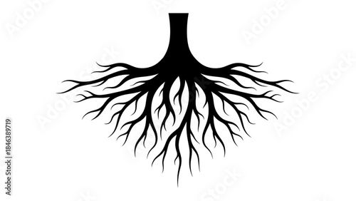 Tree Roots Silhouette Illustration – Strong Nature Growth Underground Symbol