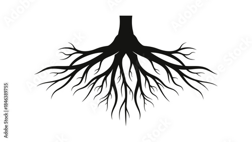 Tree Roots Silhouette Illustration – Strong Nature Growth Underground Symbol