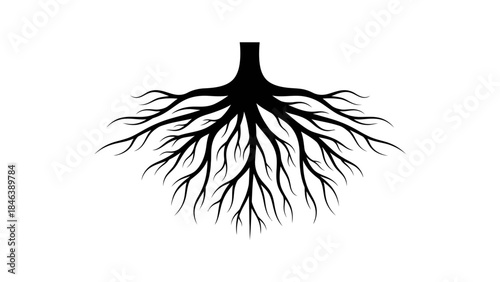 Tree Roots Silhouette Illustration – Strong Nature Growth Underground Symbol