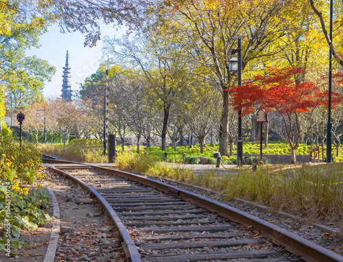 Autumn landscape of a Chinese park. China. Hangzhou.