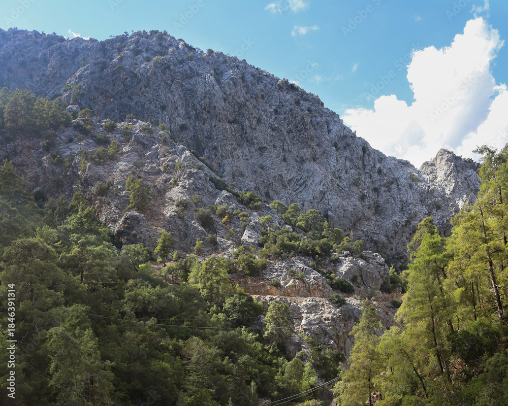 Naklejka premium Dramatic limestone mountains in Goynuk canyon, Turkey. Rocky cliffs with pine forests.
