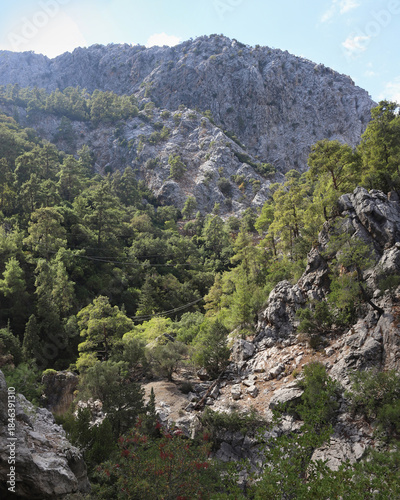 Dramatic limestone mountains in Goynuk canyon, Turkey. Rocky cliffs with pine forests.