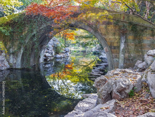 Autumn landscape of a Chinese park. China. Hangzhou.