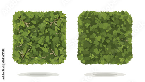 Ornamental Topiary Art: Green Squares of Verdant Foliage with Graphic Simplicity and Geometric Design for Landscaping Inspiration