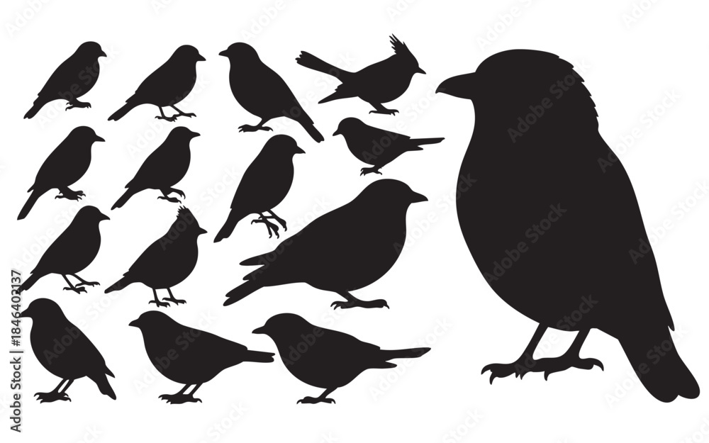 Fototapeta premium Bird Silhouette Vector Set