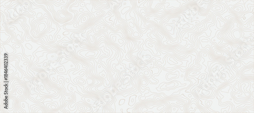Minimalist Topographic Map Abstract Featuring Fine, Faint Gray Contour Lines Topography Texture for Background Design and Maps.