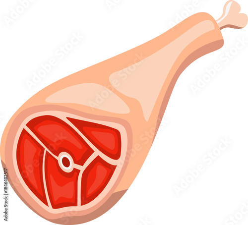 vector illustration of Meat