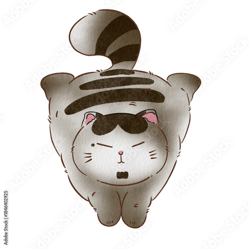 Cat cute