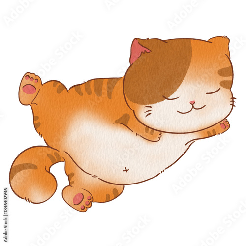 Cat cute