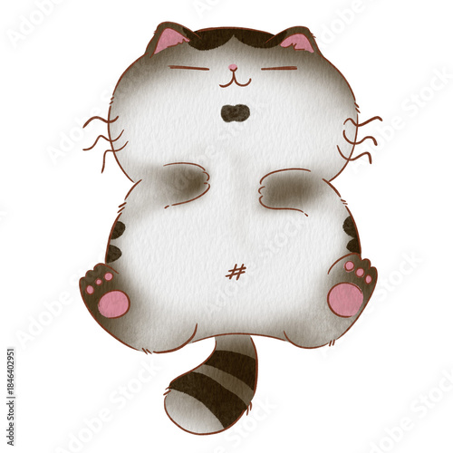 Cat cute