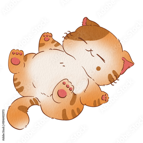 Cat cute