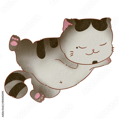 Cat cute
