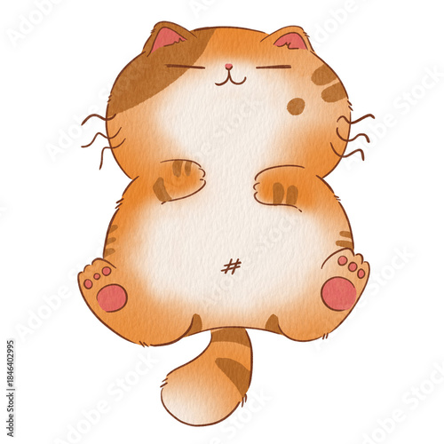 Cat cute