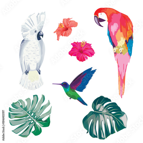 Tropical collection with palm leaves, hummingbird and parrots. Vector illustration. Summer background
