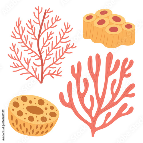 Vibrant hand drawn illustration set of marine corals and sponges on a white background