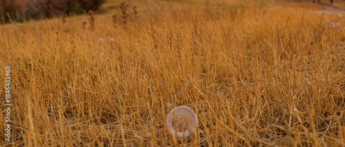 Plastic cup in the grass in the middle of foothills steppe. Nature ecology problem.