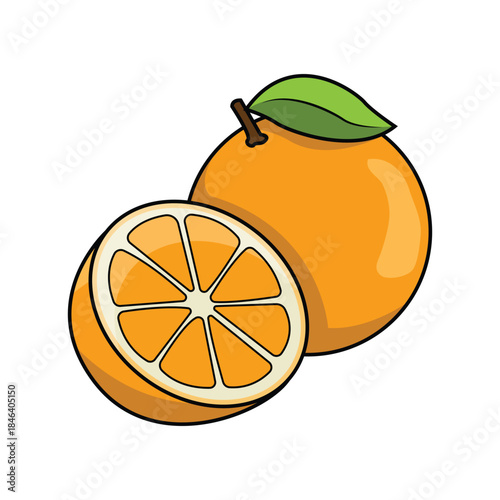 Cutaway Orange Illustration