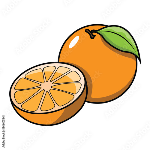 Cutaway Orange Illustration