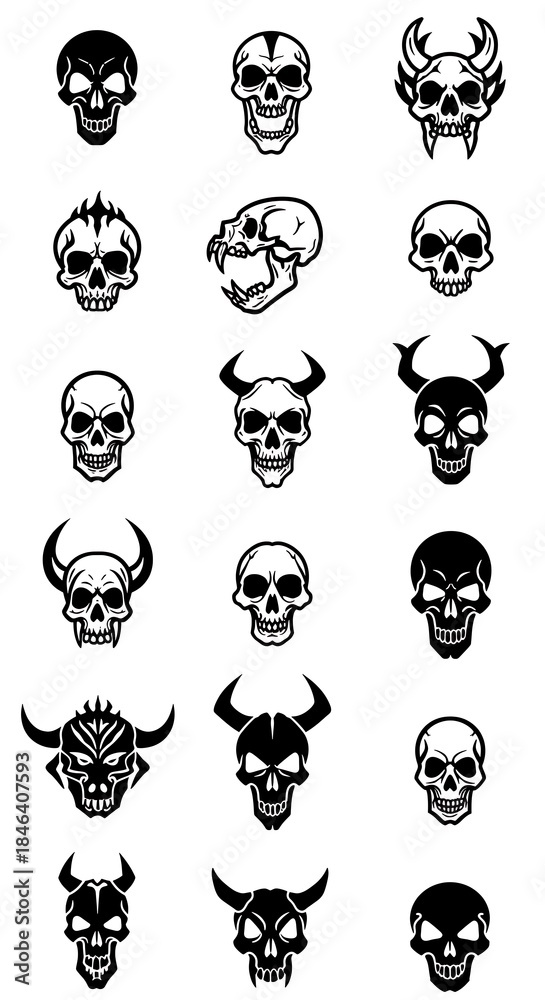 Fototapeta premium 骸骨の標本集