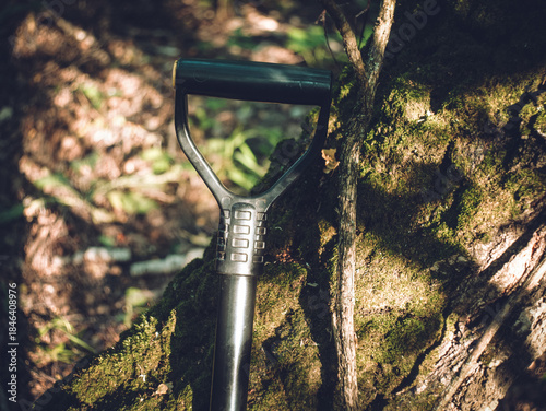 Shovel leaning against a tree in the forest
