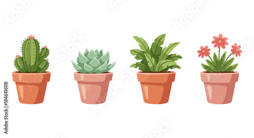 Collection of four potted houseplants including a cactus, succulent, and flowering plant