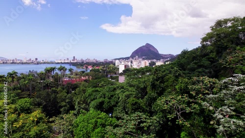 Beautiful Rio de Janeiro jungles Brazil