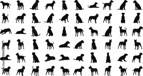 Forty black silhouettes of various dog breeds, standing, sitting, and lying poses, illustrating pets, loyalty, and companion animals vector set.
