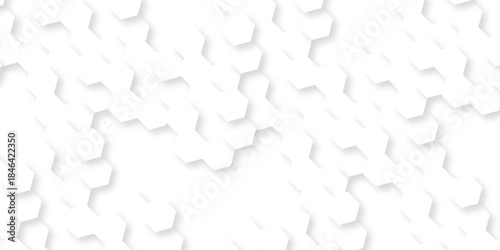 Abstract background with squares . Background with hexagons . Abstract background with lines . white texture background . white and hexagon abstract background. white paper texture and futuristic .