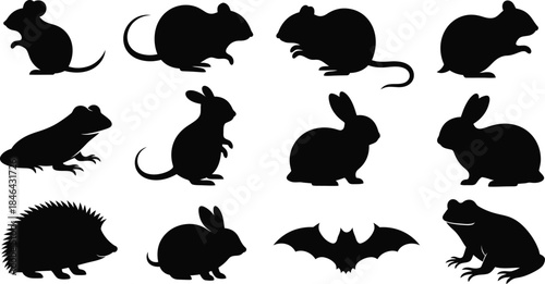 Collection of animal silhouettes featuring various creatures silhouette