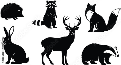 Silhouette of various forest animals