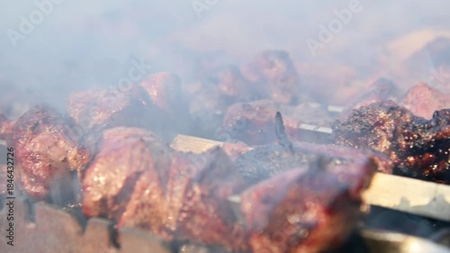 Close-up of juicy meat fried on fire, meat in smoke. Shish kebab on skewers is cooked over hot coals. The concept of cooking meat on the grill.